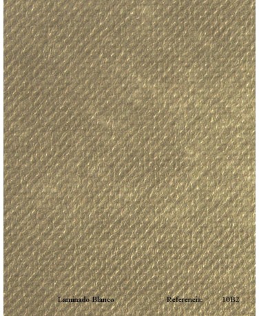 MARRÓN CLARO ADAPTADO