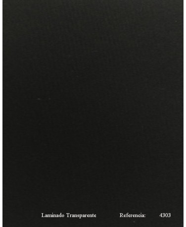 4303