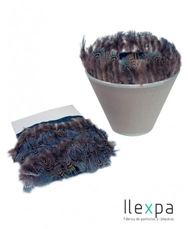 08 Empire tela cliente