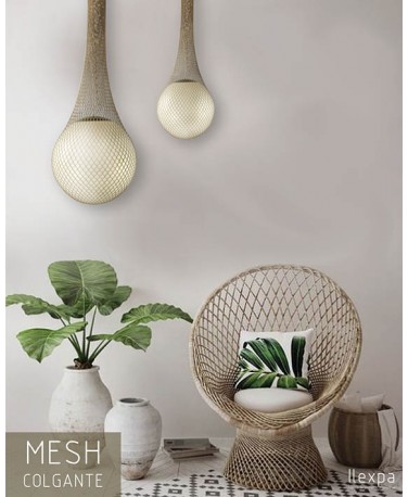Mesh