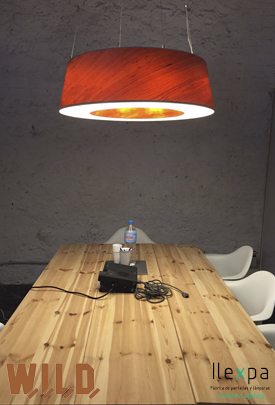 Proyecto Coworking W.I.L.D.